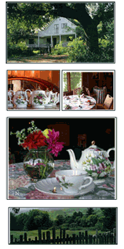 Farmhouse, Tea, and Meadow photos