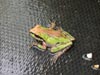 Pacific Tree Frog