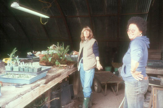 Eleanor Williams and Karen DeLapp at the potting table. Cold day.