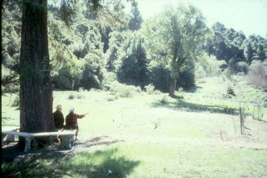 Jimmy Rapley came one day to have lunch or talk with Gerda. I was working in the garden and tried to photograph them together but didn't want to intrude. This was the best I could do.